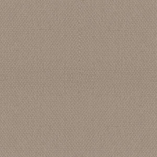 Shaw Floors Retail CHANNELING - 00109 PEBBLE PATH