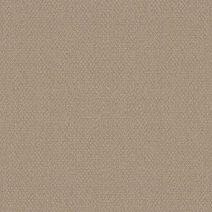 Shaw Floors Retail CHANNELING - 00110 WHEAT
