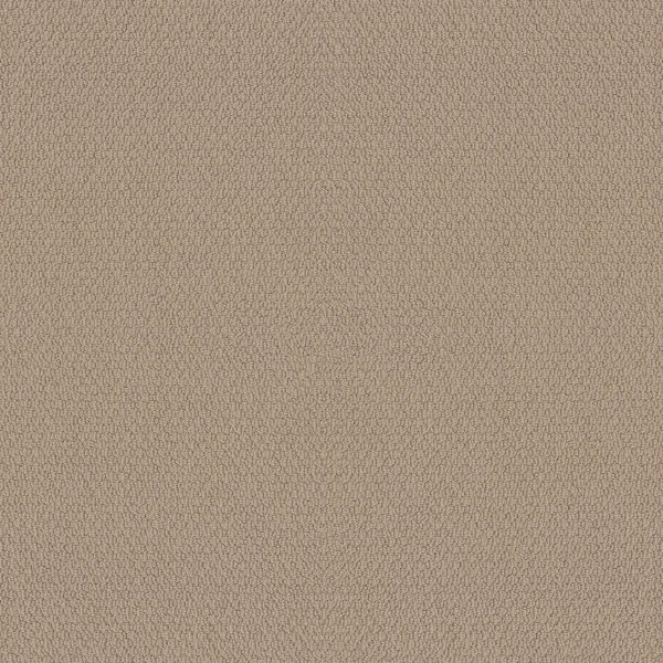 Shaw Floors Retail CHANNELING - 00110 WHEAT