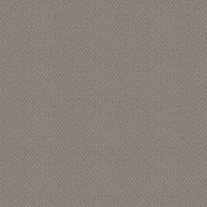 Shaw Floors Retail CHANNELING - 00504 COZY THROW