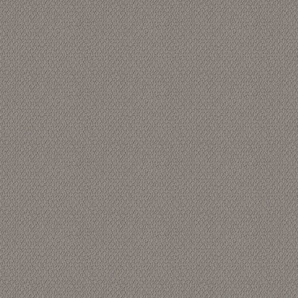 Shaw Floors Retail CHANNELING - 00504 COZY THROW