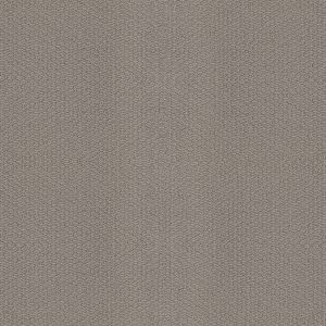 Shaw Floors Retail CHANNELING - 00505 INDUSTRIAL