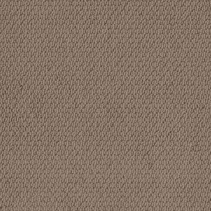 Shaw Floors Retail CHANNELING - 00702 WORN LEATHER