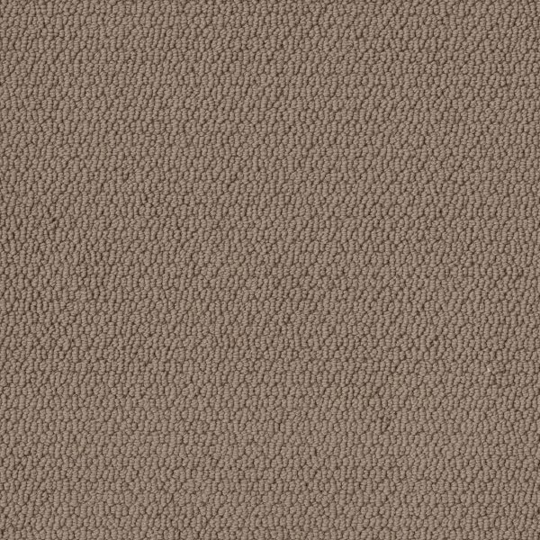Shaw Floors Retail CHANNELING - 00702 WORN LEATHER