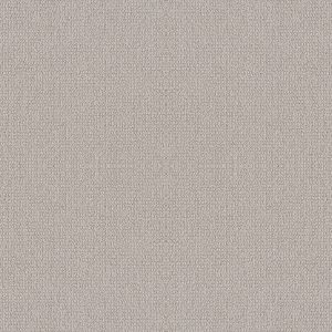Shaw Floors Retail EMBELLISHED - 00111 AIRCRAFT