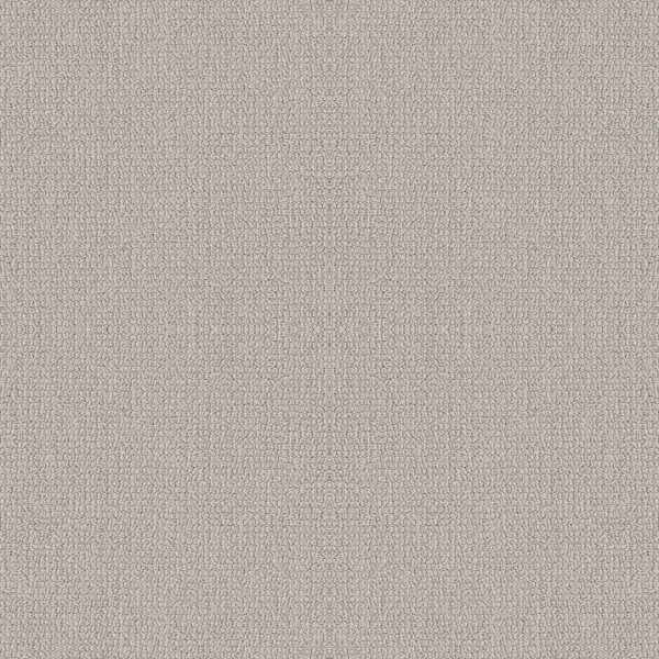 Shaw Floors Retail EMBELLISHED - 00111 AIRCRAFT