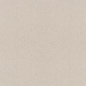 Shaw Floors Retail EMBELLISHED - 00113 LUXURY CREAM