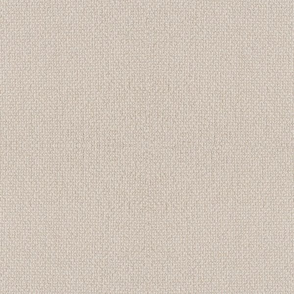 Shaw Floors Retail EMBELLISHED - 00113 LUXURY CREAM