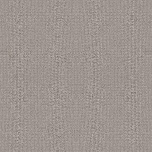 Shaw Floors Retail EMBELLISHED - 00114 ASHEN
