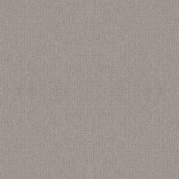 Shaw Floors Retail EMBELLISHED - 00114 ASHEN