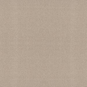 Shaw Floors Retail EMBELLISHED - 00117 MALIBU DUNE