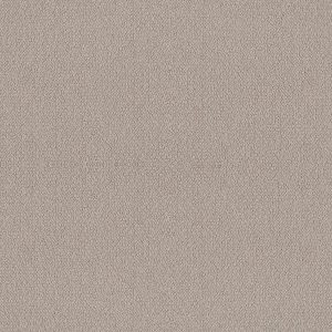 Shaw Floors Retail EMBELLISHED - 00118 BIRCH