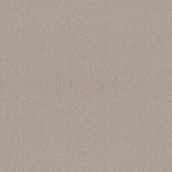 Shaw Floors Retail EMBELLISHED - 00118 BIRCH