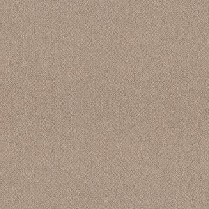 Shaw Floors Retail EMBELLISHED - 00120 THATCHED ROOF