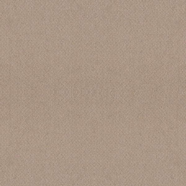 Shaw Floors Retail EMBELLISHED - 00120 THATCHED ROOF