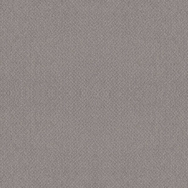 Shaw Floors Retail EMBELLISHED - 00514 CATHEDRAL