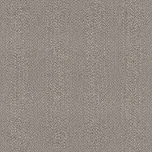 Shaw Floors Retail EMBELLISHED - 00515 ASTEROID