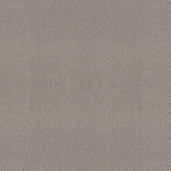 Shaw Floors Retail EMBELLISHED - 00515 ASTEROID
