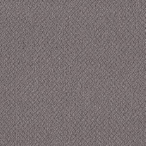 Shaw Floors Retail EMBELLISHED - 00516 DOLPHIN