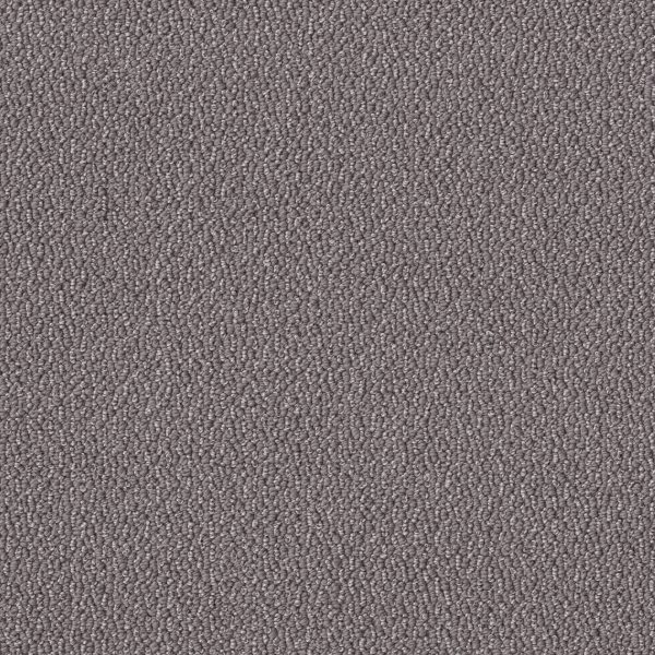 Shaw Floors Retail EMBELLISHED - 00516 DOLPHIN