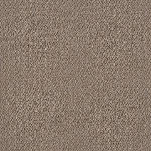 Shaw Floors Retail EMBELLISHED - 00710 RAW WOOD