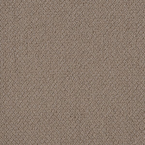 Shaw Floors Retail EMBELLISHED - 00710 RAW WOOD