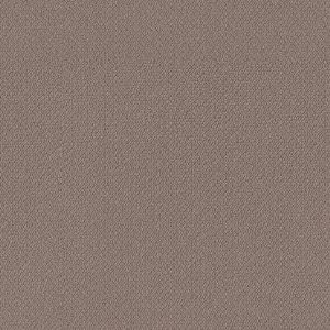 Shaw Floors Retail EMBELLISHED - 00711 CHESTNUT