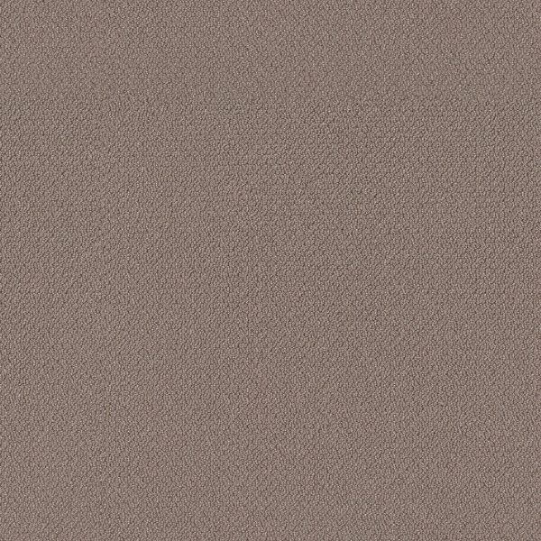 Shaw Floors Retail EMBELLISHED - 00711 CHESTNUT