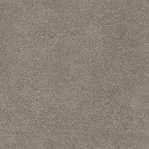 Shaw Floors Retail WITHOUT LIMITS I - 00101 ABALONE
