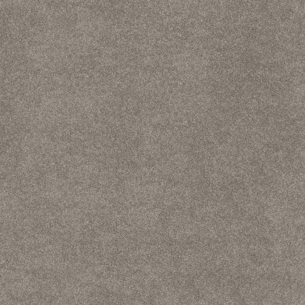 Shaw Floors Retail WITHOUT LIMITS I - 00101 ABALONE
