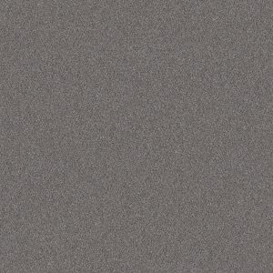 Shaw Floors Retail WITHOUT LIMITS I - 00502 SILVER SPOON