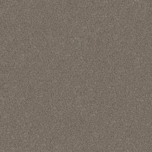 Shaw Floors Retail WITHOUT LIMITS I - 00700 SADDLE TAN