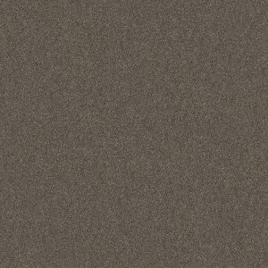 Shaw Floors Retail WITHOUT LIMITS I - 00702 BOARDWALK