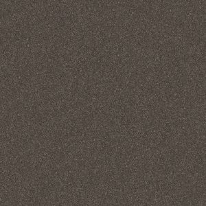 Shaw Floors Retail WITHOUT LIMITS I - 00703 DERBY