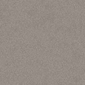 Shaw Floors Retail WITHOUT LIMITS II - 00100 HEATHER