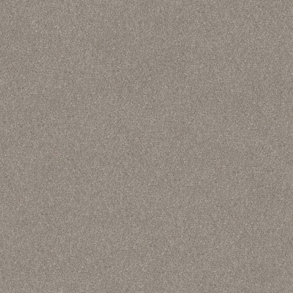 Shaw Floors Retail WITHOUT LIMITS II - 00100 HEATHER