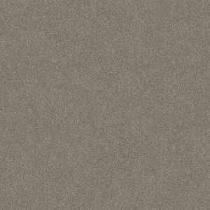 Shaw Floors Retail WITHOUT LIMITS II - 00101 ABALONE