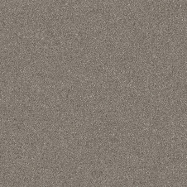 Shaw Floors Retail WITHOUT LIMITS II - 00101 ABALONE