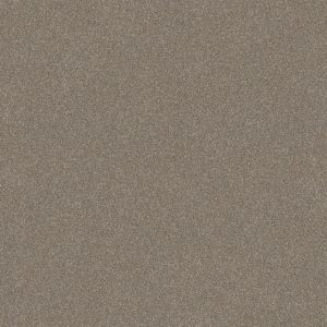Shaw Floors Retail WITHOUT LIMITS II - 00102 MACADAMIA