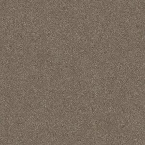 Shaw Floors Retail WITHOUT LIMITS II - 00103 SANDBANK