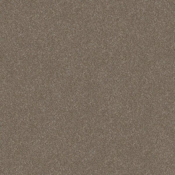 Shaw Floors Retail WITHOUT LIMITS II - 00103 SANDBANK
