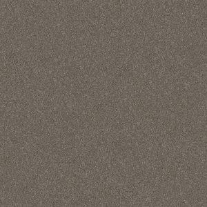 Shaw Floors Retail WITHOUT LIMITS II - 00104 TRAVATAN