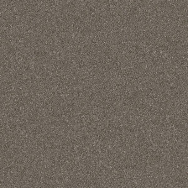 Shaw Floors Retail WITHOUT LIMITS II - 00104 TRAVATAN