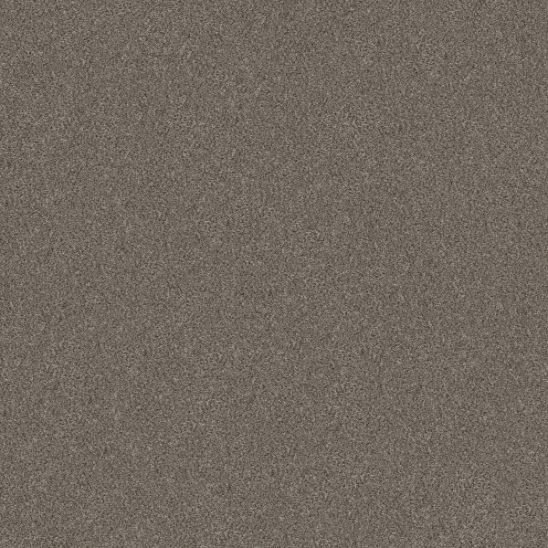 Shaw Floors Retail WITHOUT LIMITS II - 00105 MISTY MICA