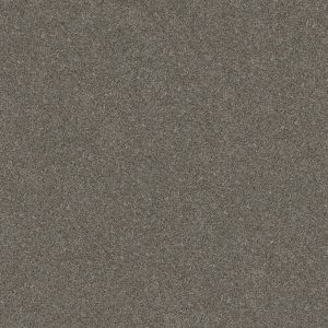 Shaw Floors Retail WITHOUT LIMITS II - 00300 ORGANIC