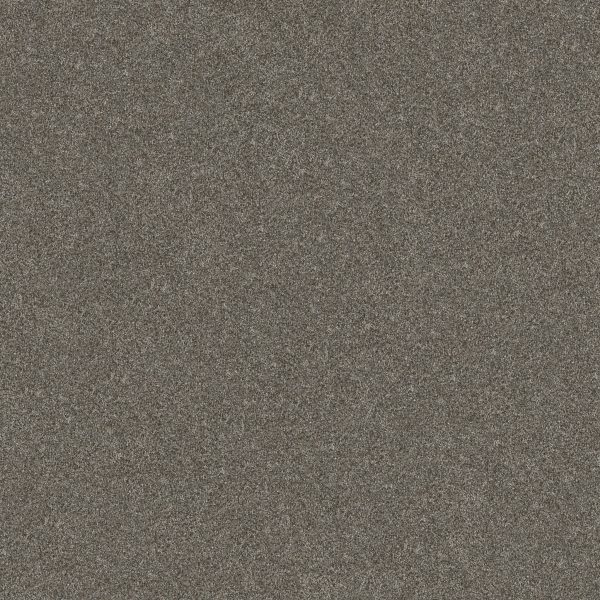 Shaw Floors Retail WITHOUT LIMITS II - 00300 ORGANIC