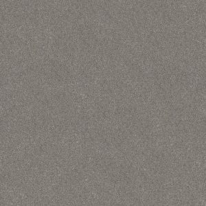 Shaw Floors Retail WITHOUT LIMITS II - 00500 STAINLESS