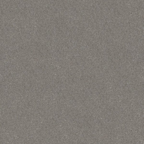 Shaw Floors Retail WITHOUT LIMITS II - 00500 STAINLESS