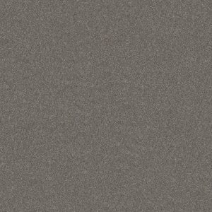 Shaw Floors Retail WITHOUT LIMITS II - 00501 TUNDRA
