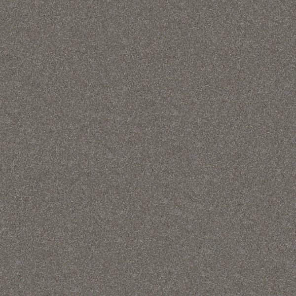 Shaw Floors Retail WITHOUT LIMITS II - 00501 TUNDRA